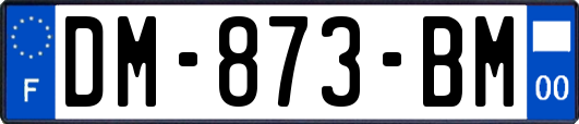 DM-873-BM