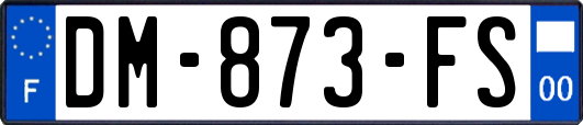 DM-873-FS