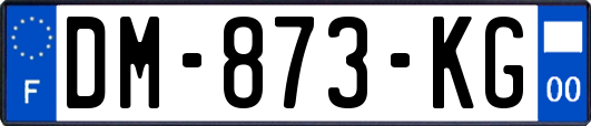 DM-873-KG