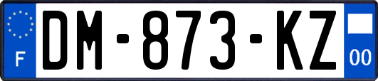 DM-873-KZ