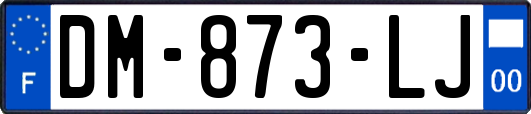 DM-873-LJ
