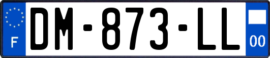 DM-873-LL