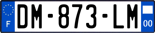 DM-873-LM