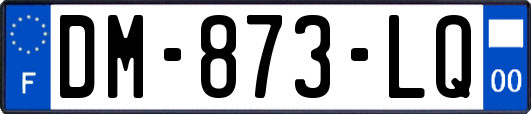 DM-873-LQ