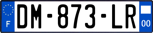 DM-873-LR