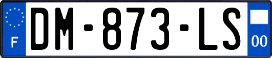DM-873-LS