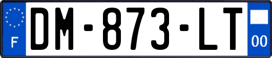 DM-873-LT