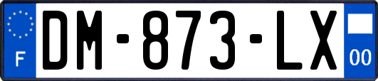 DM-873-LX