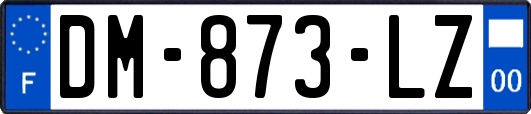 DM-873-LZ