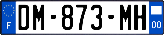 DM-873-MH