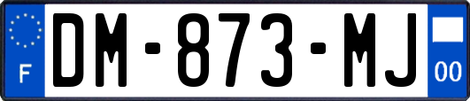 DM-873-MJ