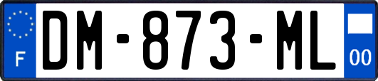 DM-873-ML