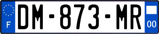 DM-873-MR