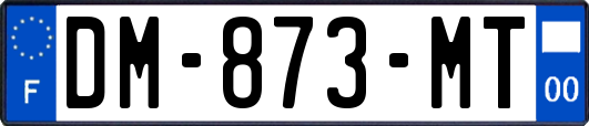 DM-873-MT