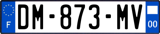 DM-873-MV