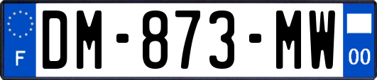 DM-873-MW
