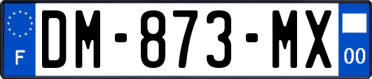 DM-873-MX