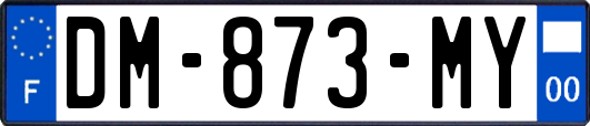 DM-873-MY