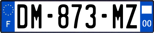 DM-873-MZ