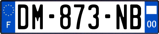 DM-873-NB