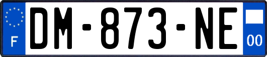 DM-873-NE