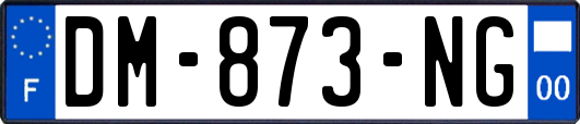 DM-873-NG