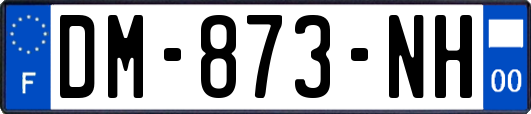 DM-873-NH