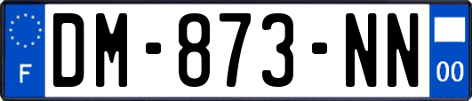 DM-873-NN