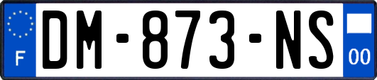 DM-873-NS