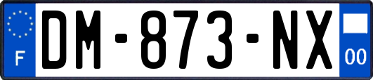 DM-873-NX
