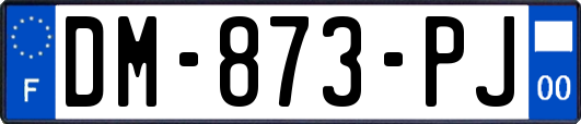 DM-873-PJ