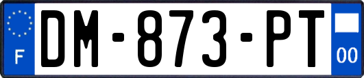 DM-873-PT