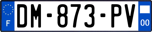 DM-873-PV