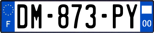 DM-873-PY