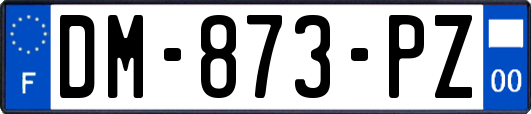 DM-873-PZ