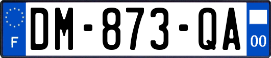 DM-873-QA