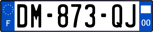 DM-873-QJ