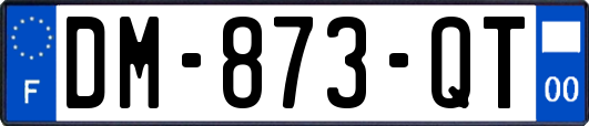 DM-873-QT
