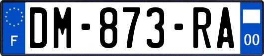 DM-873-RA