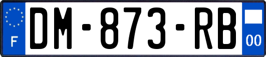 DM-873-RB