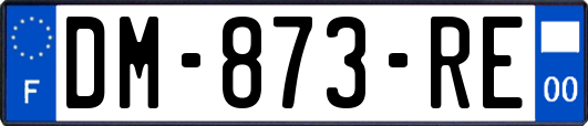 DM-873-RE