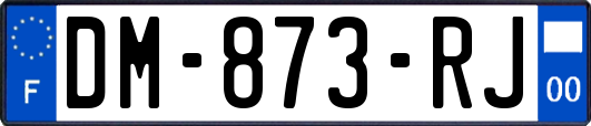 DM-873-RJ