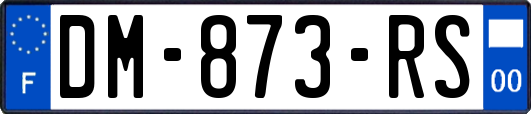 DM-873-RS