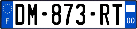 DM-873-RT