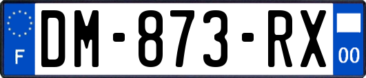 DM-873-RX