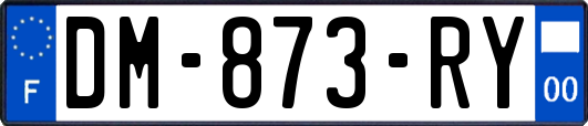 DM-873-RY