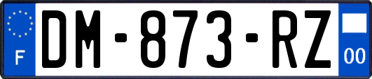 DM-873-RZ