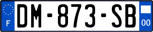 DM-873-SB