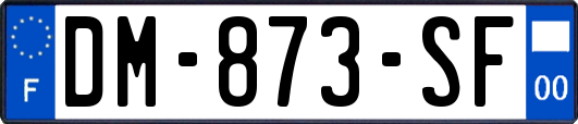 DM-873-SF