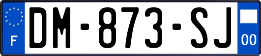 DM-873-SJ